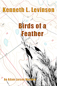 Birds of a Feather by Kenneth L. Levinson
